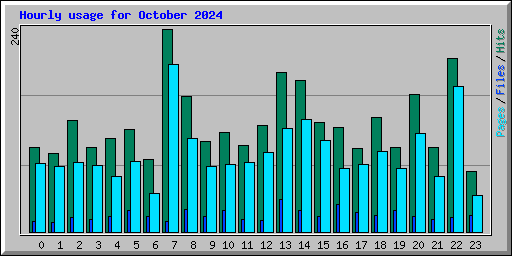 Hourly usage for October 2024