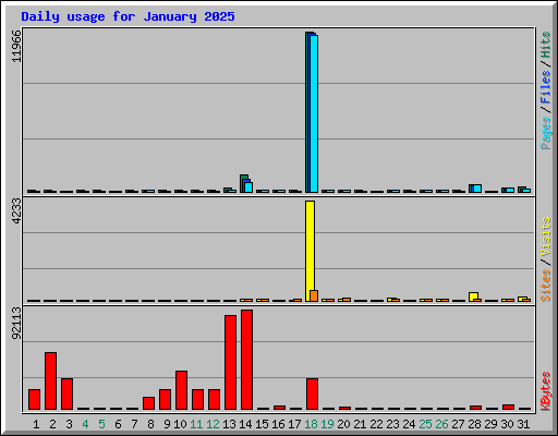 Daily usage for January 2025