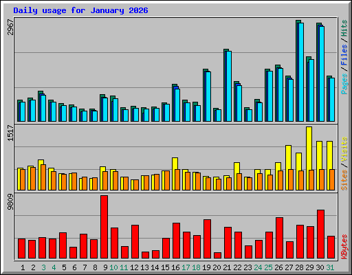 Daily usage for January 2026