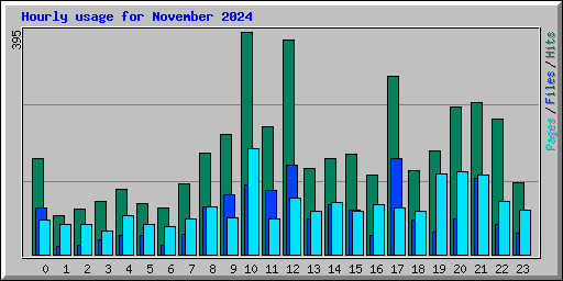 Hourly usage for November 2024