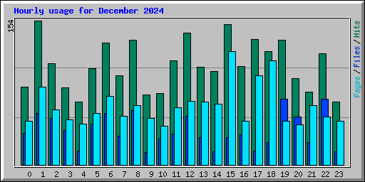 Hourly usage for December 2024