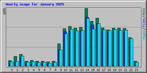 Hourly usage for January 2025