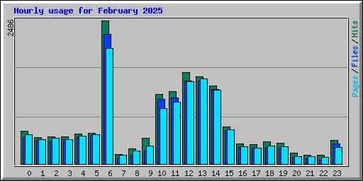 Hourly usage for February 2025