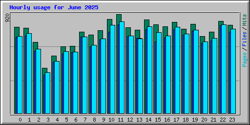 Hourly usage for June 2025