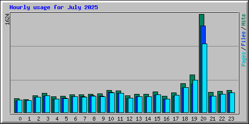 Hourly usage for July 2025