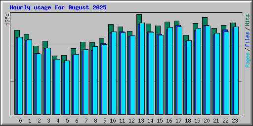 Hourly usage for August 2025