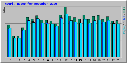 Hourly usage for November 2025