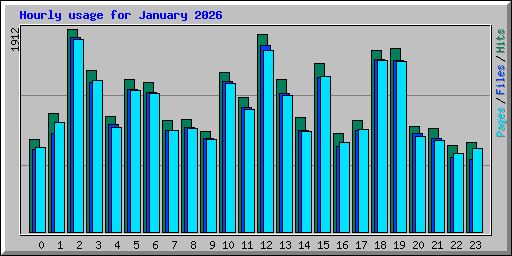 Hourly usage for January 2026