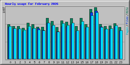 Hourly usage for February 2026